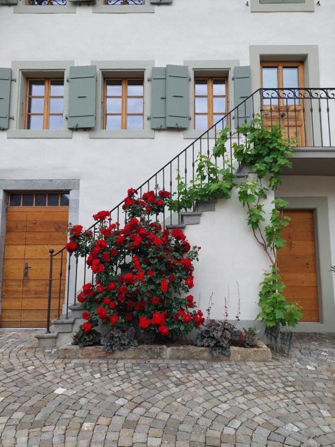 Bed and Breakfast Aux Trois Soleils Шебр Екстер'єр фото